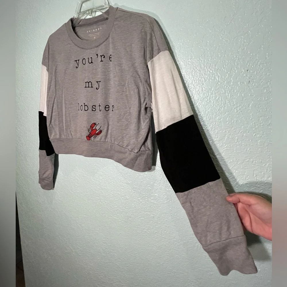 FRIENDS You Are My Lobster Quote  Long Sleeve Graphic Cropped Tee Size M - Picture 8 of 8